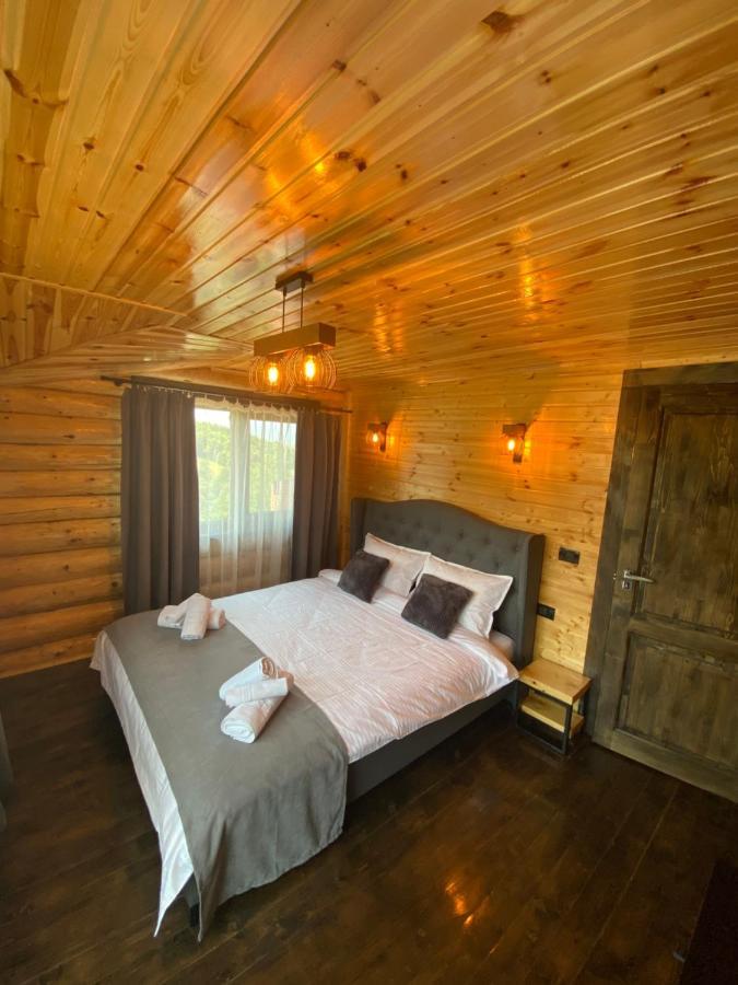 Bellevue Chalet Rîşnov Exterior foto
